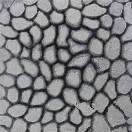 070壓花地坪樣品